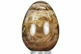 Colorful, Polished Petrified Wood Egg - Madagascar #318351-1